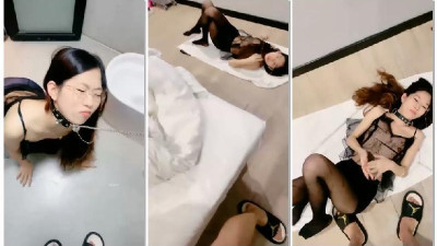 [토종 코드프리 중국어] 레몬3를 만나다