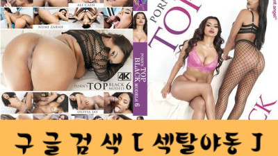 흑진주 모델
